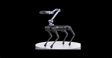 UniTree Robot Arm 的图像结果