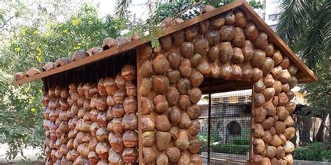 Image result for Best Out of Waste Using Coconut Shell