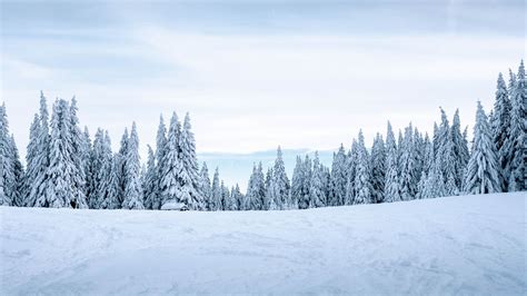 Download wallpaper 2048x1152 snow, winter, trees, winter landscape ...