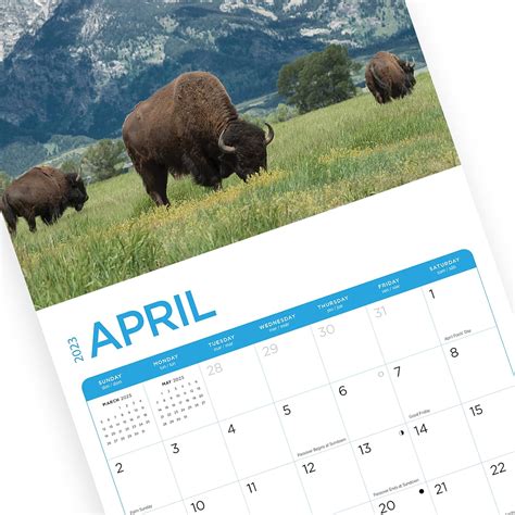 Buy 2023 America the Beautiful Monthly Wall Calendar by Bright Day ...