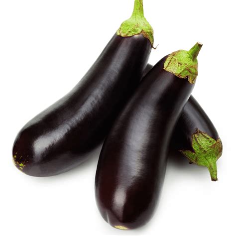 Eggplant Growing: Tips, Seeds, and Care for Homegrown Harvests ...