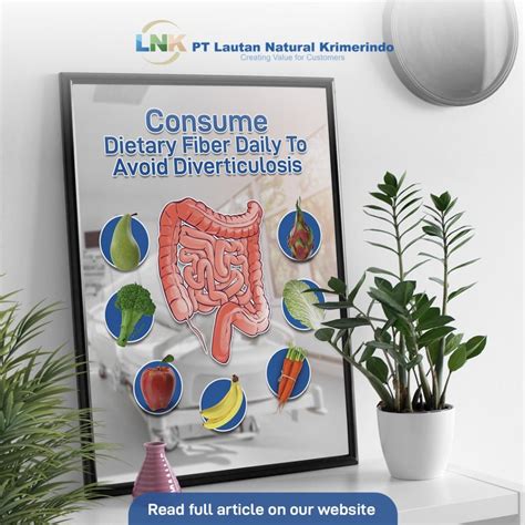How Dietary Fiber Prevents Constipation and Diverticulosis - PT Lautan Natural Krimerindo