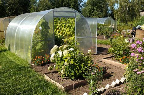 Build A Greenhouse