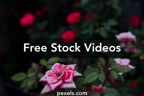 Image result for Local HD XXXII