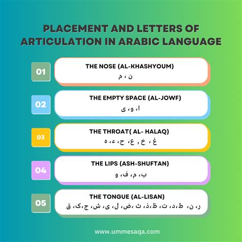 Makhraj Of Arabic Letters