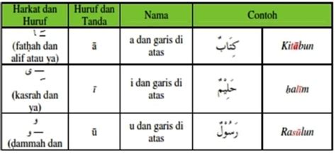 Rezultat imagine pentru Latin Tutorial for Beginners