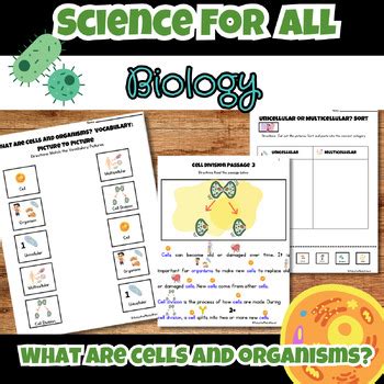 Free Science Lessons Cell Division 的图像结果