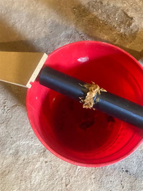 Image result for Exploding Mouse Trap