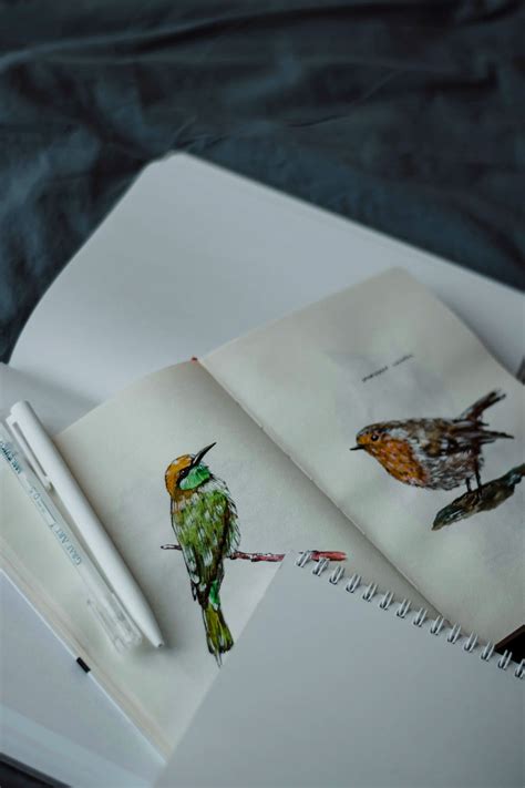 Analog Example 的图像结果