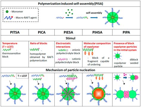 Modern Trends in Polymerization-Induced Self-Assembly