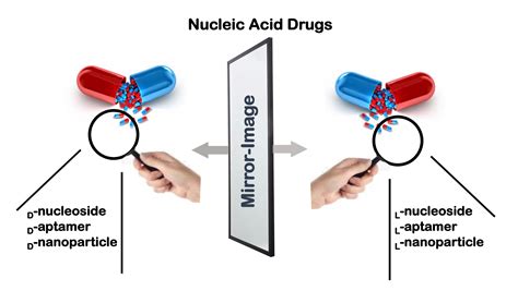 Nucleic Acids Picture