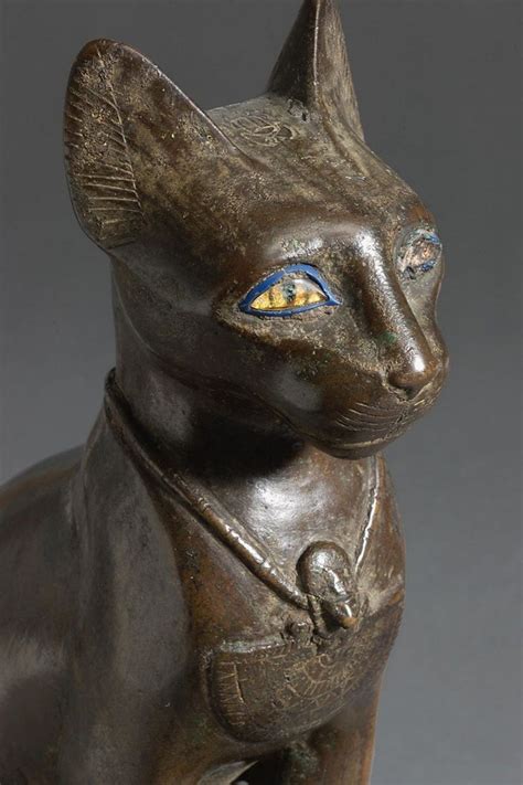 Why Do Cats Like Ancient Egyptian Music at Reginald Hopkins blog