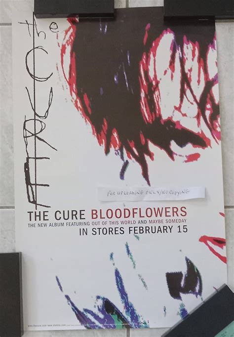 THE CURE PROMO "BLOODFLOWERS" ORIGINAL 11 X 17 INCHES POSTER!! 2000!!