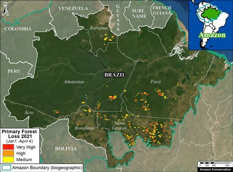 MAAP #138: As Brazil Negotiates With World, Amazon Deforestation ...