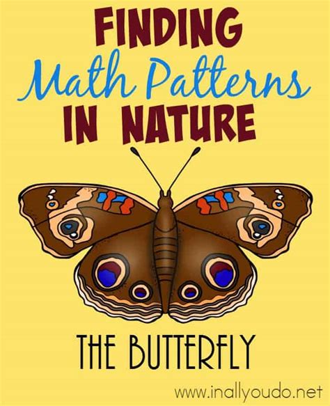 Math Patterns in Nature 的图像结果