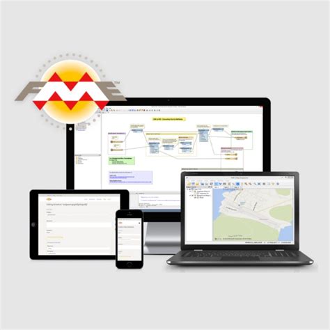 Image result for FME Server