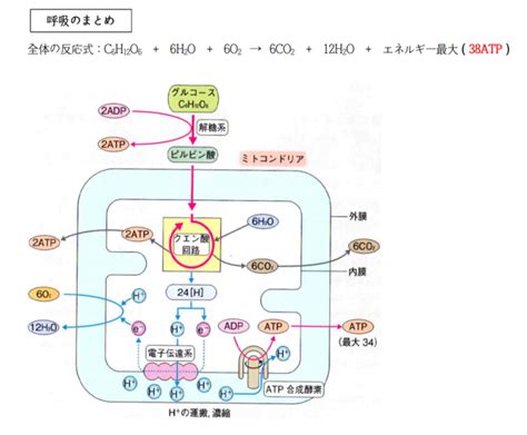 Learn OS Module Python From Beginning に対する画像結果