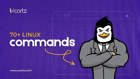 Image result for 75 Common Linux Commands