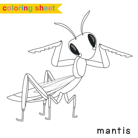 Image result for Example of Coloring Activity