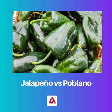 Jalapeño vs Poblano: Difference and Comparison