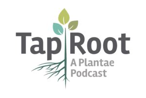 Image result for Time Topic Taproot