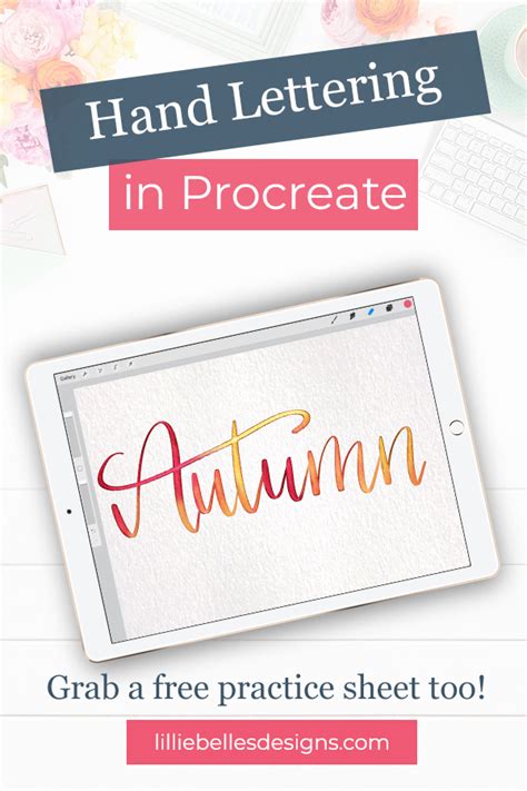 Free Procreate Lettering Tutorials 的图像结果