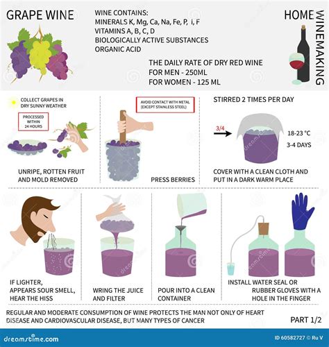 Image result for Easy Homemade Wine Using Grapes