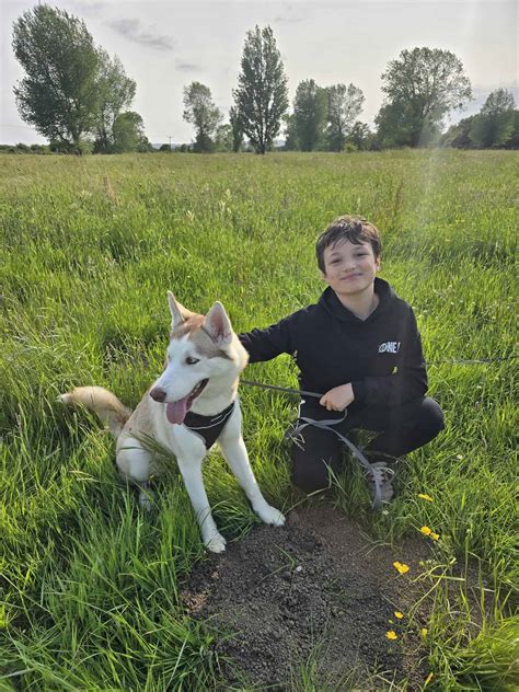 St Wilfrid's secures BBC Children in Need funding for youngsters ...