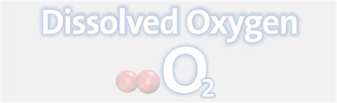 AEDO8 Dissolved Oxygen Water Test Kit 0.5 to 8.0 PPM : Amazon.in ...