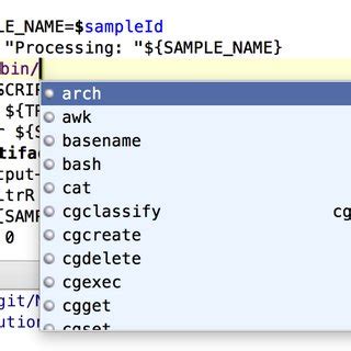 Auto Completion 的图像结果