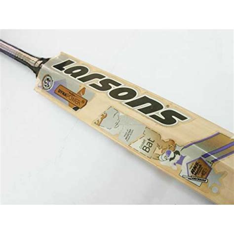 RNS Larsons Dyna Power Kashmir Willow Cricket Bat (Short Handle) Price ...