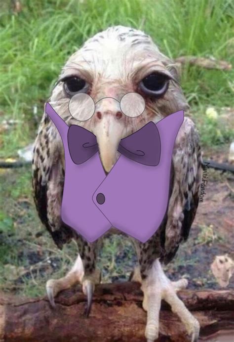 Multi.Fandom on Tumblr: The wet owl meme with alivaby (And here’s a ...