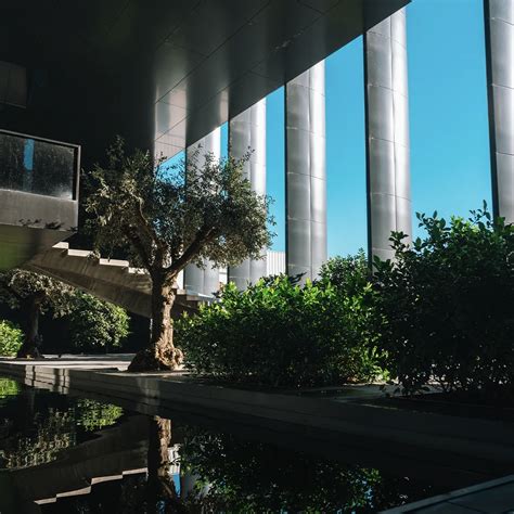 Endutex Process 的图像结果