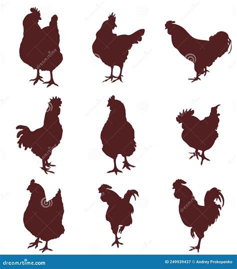 Set of Silhouettes of a Hens and Rooster (9 Pieces) Stock Vector ...