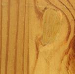 Compare Properties of Canadian Wood Species Application And Features