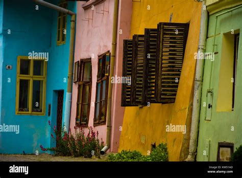 Country People 的图像结果