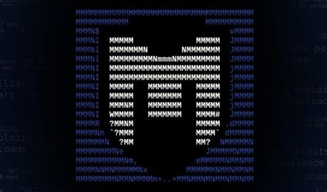 Image result for Metasploitable Framework Pics