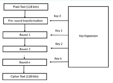 Image result for AES Algorithm in Cryptography