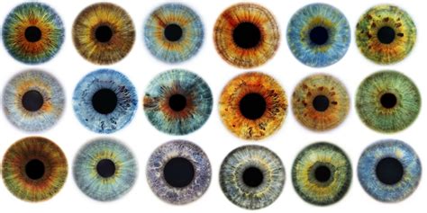 Image result for Eye Color Rarity Chart