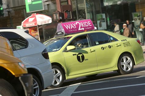 Diseased Bloggers Gallery Of Images