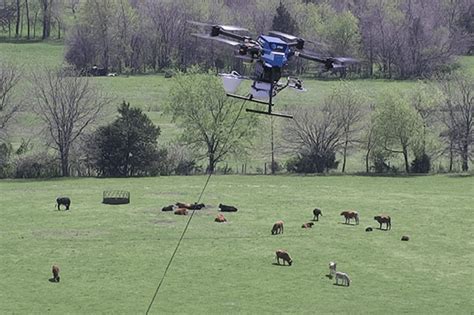 Image result for FirstNet Cow