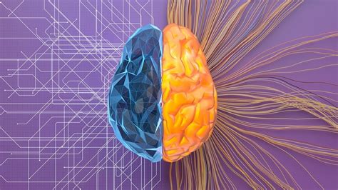 Scientists combined AI with lab-grown human brain. A biocomputer is ...