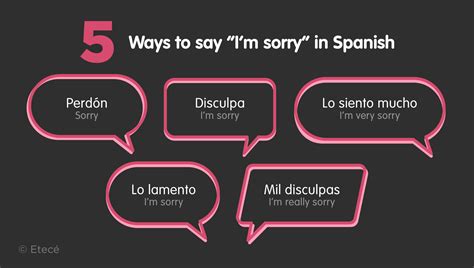 Spanish I Am Sorry