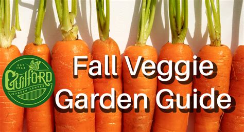 Fall Veggie Planting Guide - Guilford Garden Center