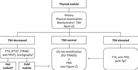 2023 European Thyroid Association Clinical Practice Guidelines for ...
