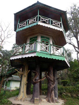 Gorumara National Park Photos - Featured Images of Gorumara National ...