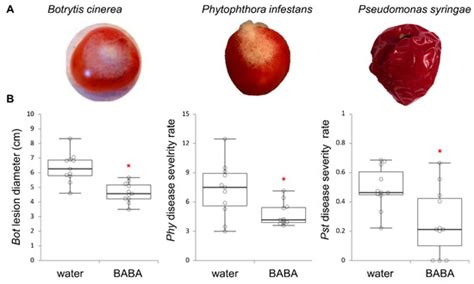 Metabolites | Special Issue : Fruit Metabolism and Metabolomics