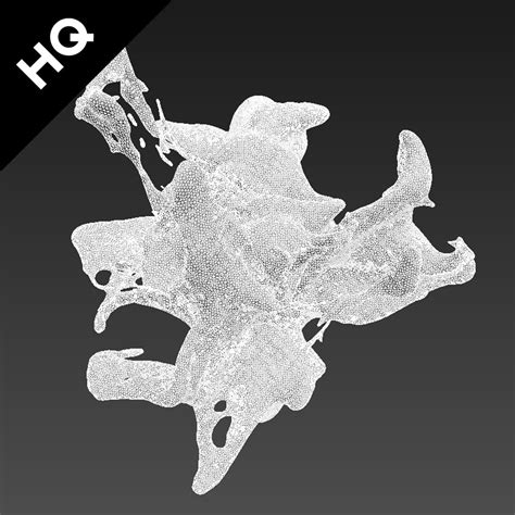 Image result for RealFlow Splash