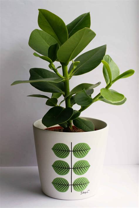 Image result for Decoupage Projects