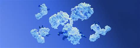 Image result for ADC Formulation Development